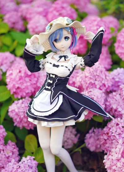 Dollfie Dream Sister DDS Re：从零开始的异世界生活 蕾姆