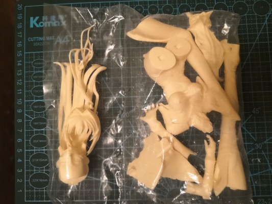 B-style Muv-Luv Alternative 鉴纯夏 兔女郎Ver,