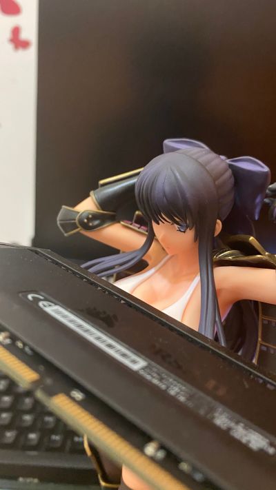 少女骑士物语 龙造寺茜 白色泳装＆内衣ver.