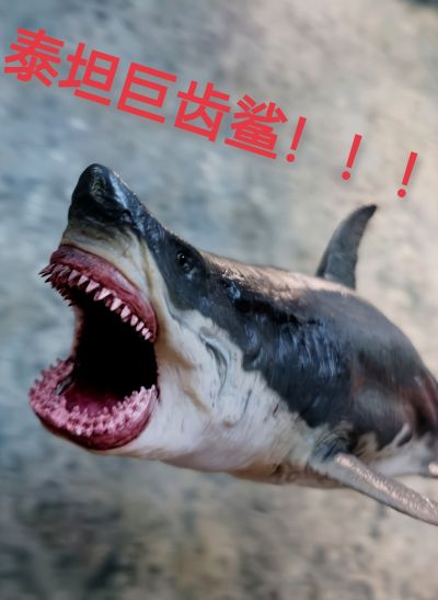 一番赏 哥斯拉VS金刚 哥斯拉 A赏