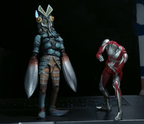 S.H.Figuarts   达达