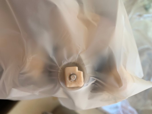 克蕾儿 兔女郎Ver.