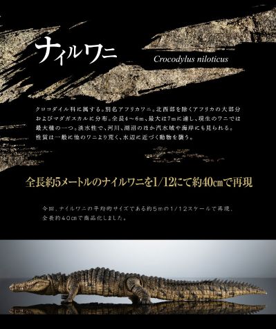 终极生物大图鉴系列 尼罗鳄