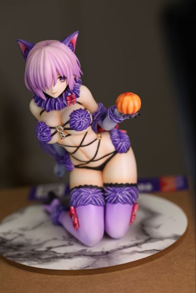 Fate/Grand Order 玛修·加拉哈德 Dangerous Beast