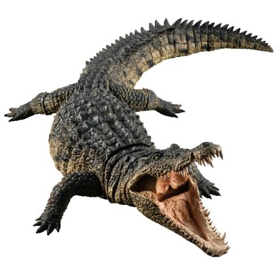 终极生物大图鉴系列 尼罗鳄