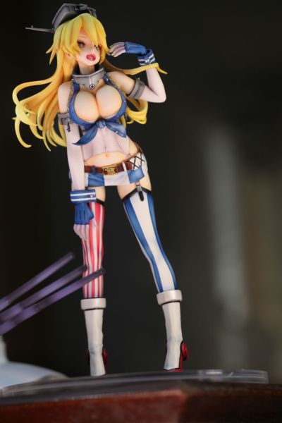 舰队Collection-舰娘- 衣阿华 装扮舰娘和装备的妖精桑