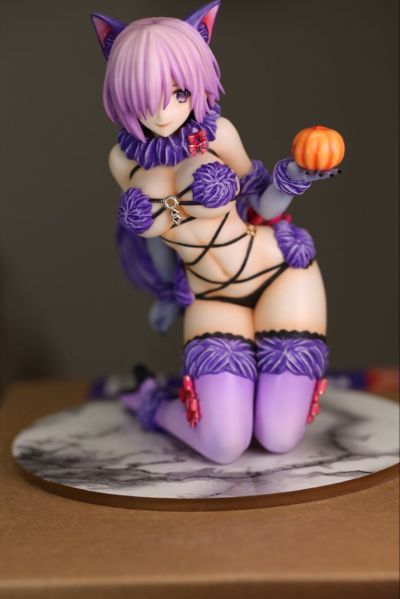 Fate/Grand Order 玛修·加拉哈德 Dangerous Beast
