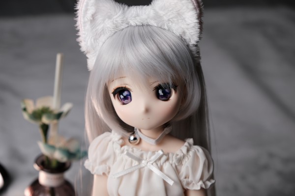 Iris Collect Petit 原创角色 Azone Direct Store Sales ver. 