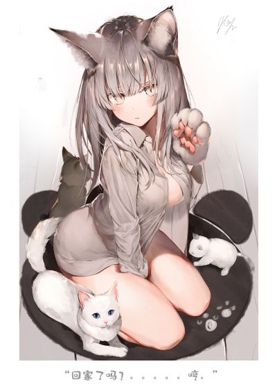 猫娘·米娅 通常版