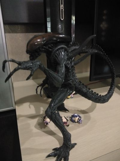 Super Special 系列 Alien: Resurrection Alien Warrior