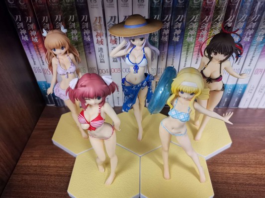 BEACH QUEENS Fate/hollow ataraxia Saber