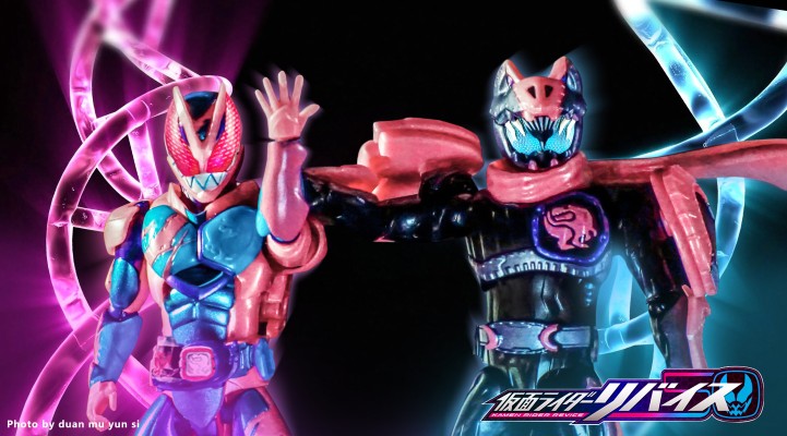 假面骑士利维斯可动人偶套装 假面骑士利维+假面骑士维斯 暴龙基因