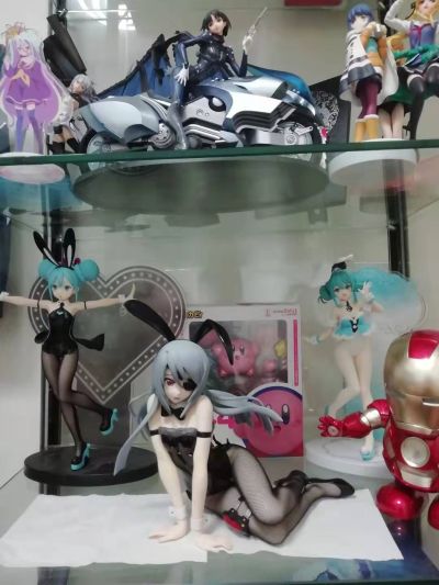 IS〈无限斯特拉托斯〉 拉芙拉 兔女郎版