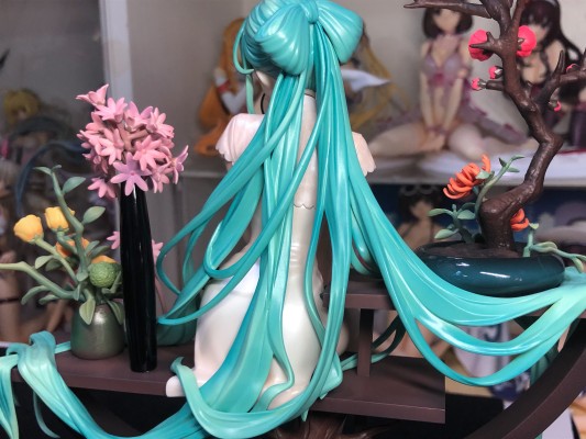 韶华 初音未来