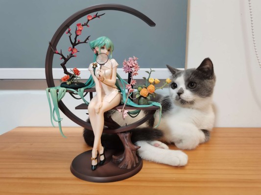 来了！初音韶华返图~^_^