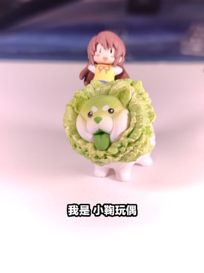 我是 小鞠玩偶