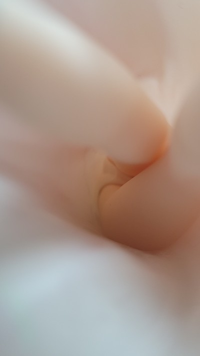 关于我转生变成史莱姆这档事 米莉姆・纳瓦 汉服Ver.