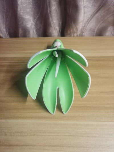 宝可梦模型系列 49 特选系列 沙奈朵