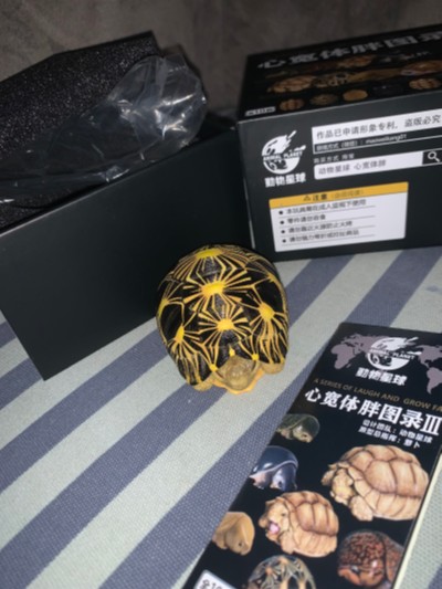 心宽体胖