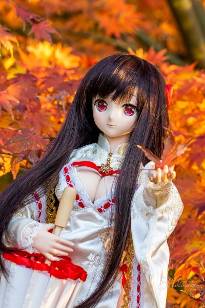 Dollfie Dream DD 机巧少女不会受伤 夜夜