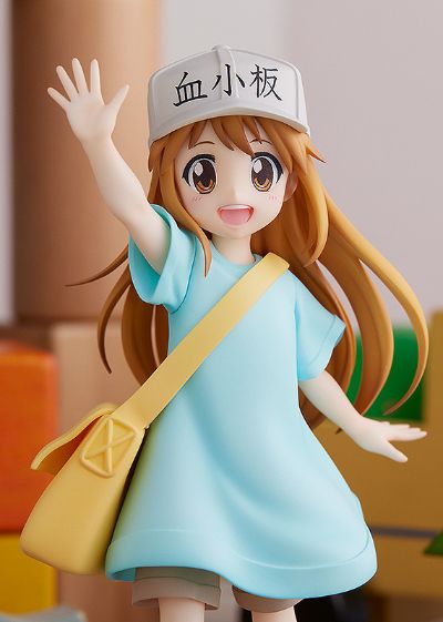 POP UP PARADE 工作细胞 血小板