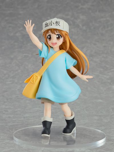 POP UP PARADE 工作细胞 血小板