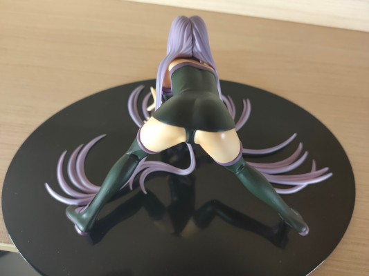 Fate/stay night 美杜莎