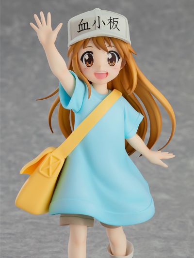 POP UP PARADE 工作细胞 血小板