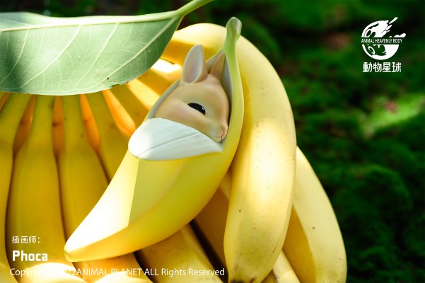 兔兔精灵系列 香蕉兔
