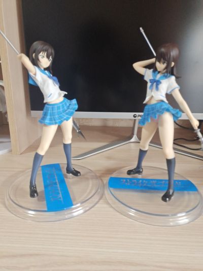 Strike the Blood  姬柊雪菜