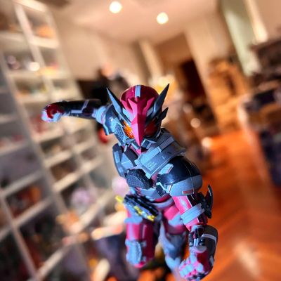 S.H.Figuarts 假面骑士零一 假面骑士雷