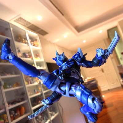 S.H.Figuarts 假面骑士零一 假面骑士俄耳托斯巴尔坎
