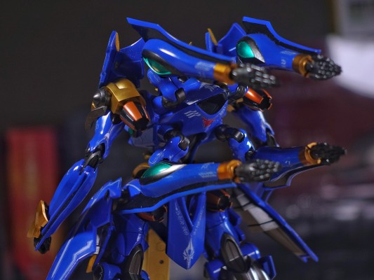 MODEROID 斑鸠