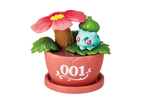 精灵宝可梦 宝可梦 Pocket Botanical