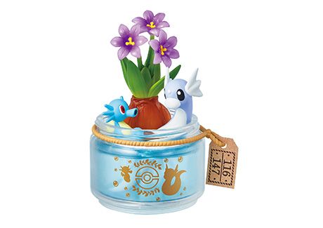 精灵宝可梦 宝可梦 Pocket Botanical
