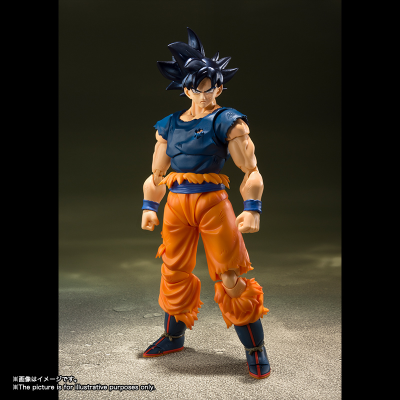 S.H.Figuarts 龙珠超 孙悟空 自在极意功 “兆”
