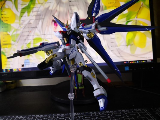 METAL ROBOT魂 机动战士高达SEED Destiny ZGMF-X20A 强袭自由高达