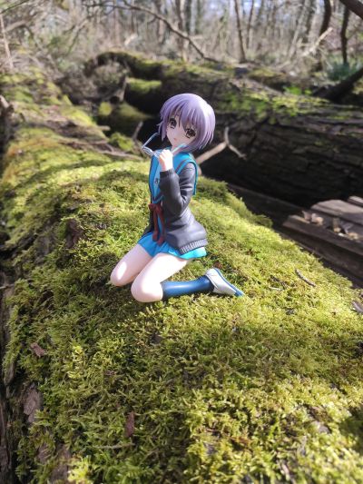 凉宫春日的忧郁 长门有希 校服
