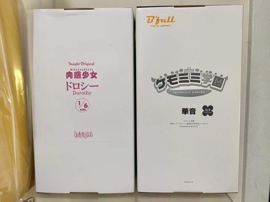 肉感少女 朵萝西