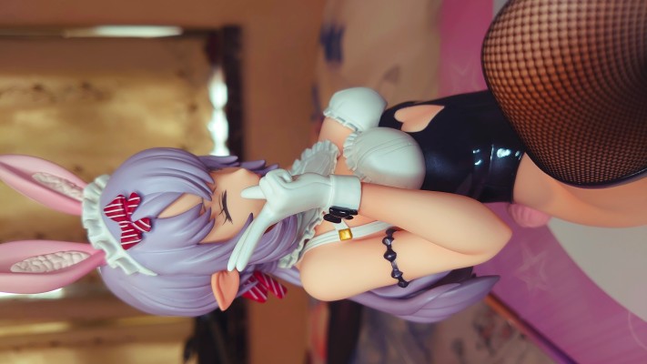紫苑
