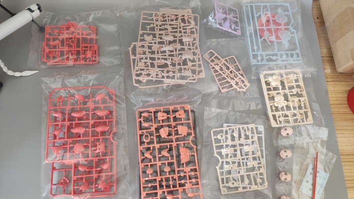 装甲娘 LBCS：地缚喵 小樱亚美