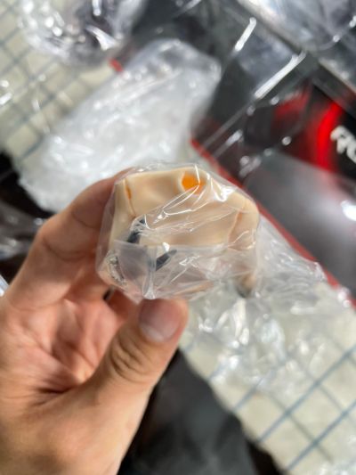片翼的洁希亚