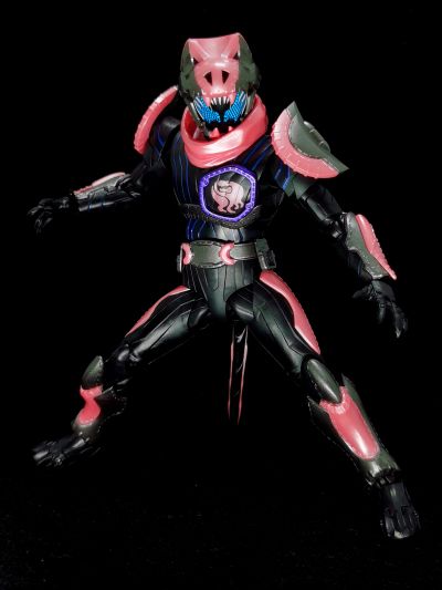 S.H.Figuarts 假面骑士利维斯 假面骑士维斯 暴龙基因
