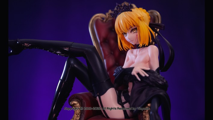 Fate/Grand Saber[Alter] 内衣Ver.