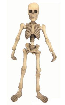 姿势骨架人 03 大人