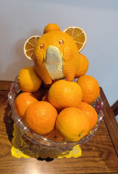 果物精灵 橙象