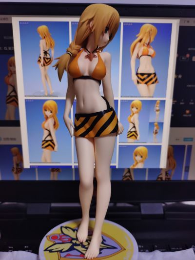 IS〈无限斯特拉托斯〉 夏洛特・迪诺亚 泳装版