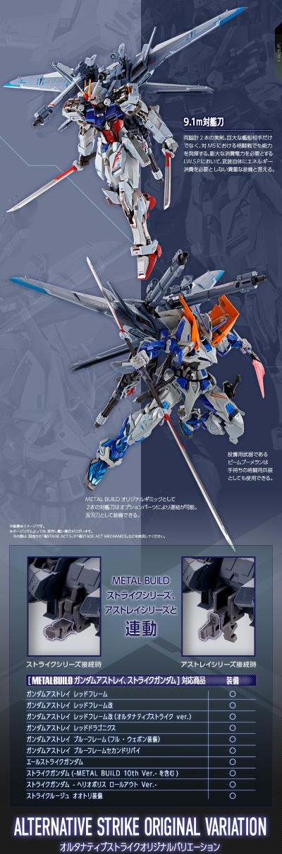 METAL BUILD 机动战士高达SEED MSV I.W.S.P.