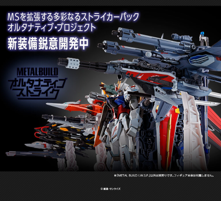 METAL BUILD 机动战士高达SEED MSV I.W.S.P.