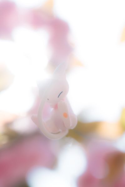 精灵宝可梦 集集乐！叠叠乐！宝可梦森林3 ～迷途的前方～